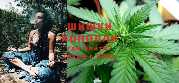 PSILOCYBIN Костерёво