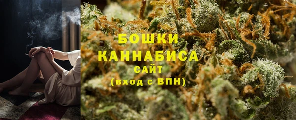 PSILOCYBIN Костерёво