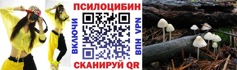 Купить закладки  Муром  Галлюциногенные грибы Psilocybine cubensis 
